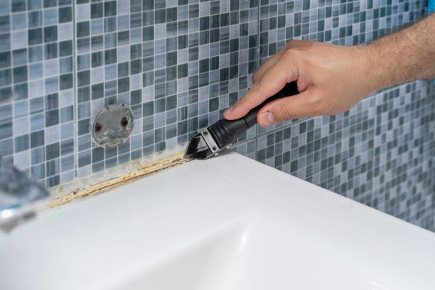 Best Mold Remediation  in Cordry Sweetwater Lakes, IN