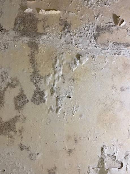 Home Mold Removal in Cordry Sweetwater Lakes, IN